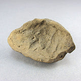 Ancient artifact near east animal head