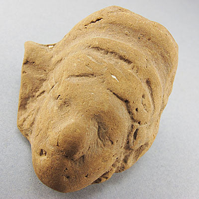 Ancient artifact greco roman head