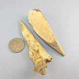Ancient artifact pre historic bone tools