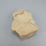 Ancient artifact greek roman head 