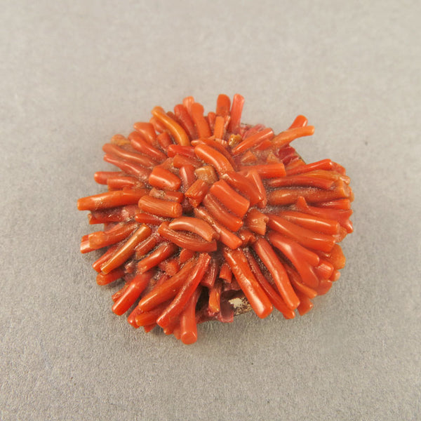 Vintage Coral Earrings And Brooch Mediterranean Coral Beads Good Old Beads Uk