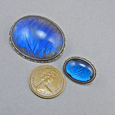 vintage jewellery silver and butterfly wings brooches โ GoodOldBeads